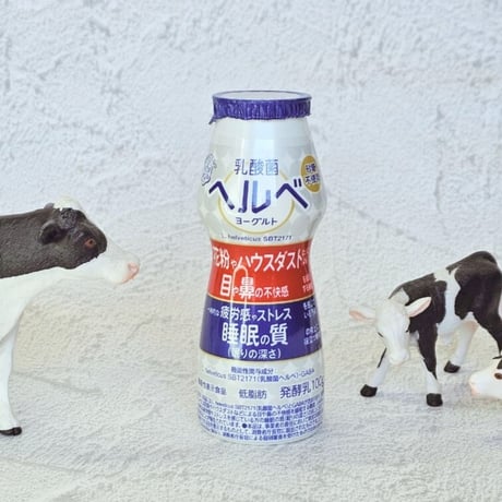 乳酸菌ヘルベヨーグルト ドリンクタイプ12本セット