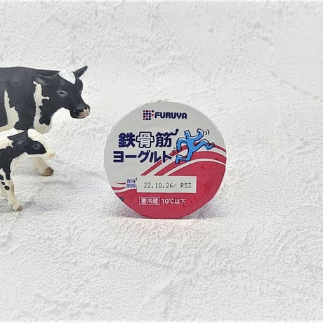 鉄骨筋ヨーグルト9個セット