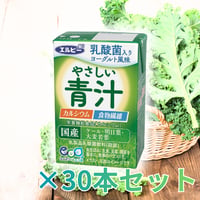 エルビー 宅配専用 やさしい青汁 30本セット