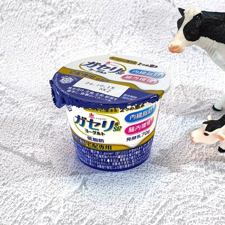 【お買い得定期便】ガセリ菌SP株ヨーグルト12個セット