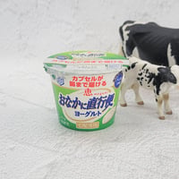 恵 megumi おなかに直行便ヨーグルト