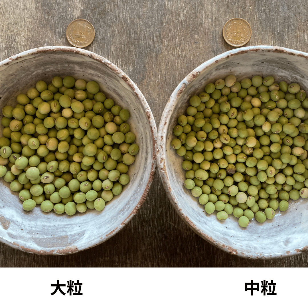 大豆 あかみ在来 栃木県佐野市、地元の在来種 30kg | 関塚農場