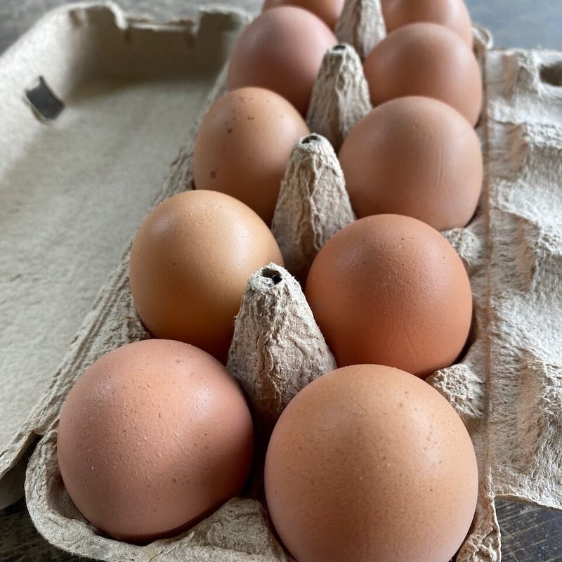 平飼い有精卵 10パックセット(たまご100個) 割引価格! | 関塚 平飼い有精卵 10パックセット(たまご100個) 割引価格! | 関塚