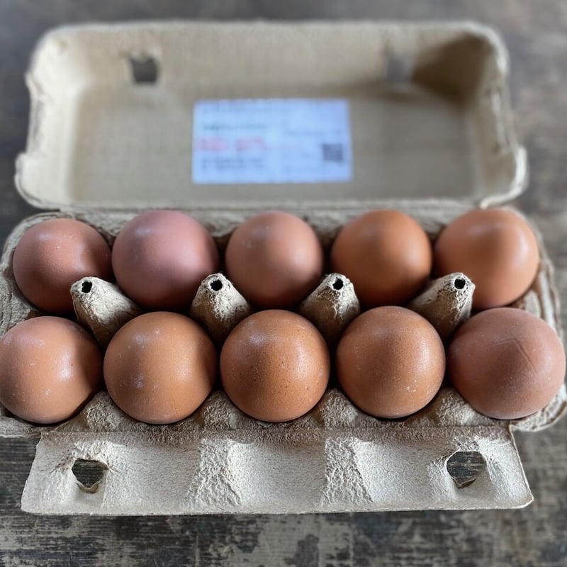平飼い有精卵 10パックセット（たまご100個） 割引価格！ | 関塚農場