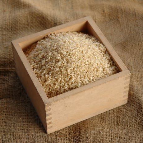 玄米　5kg　関塚農場ではお米の作付け不可だったため　栃木県産の農薬・化学肥料不使用米