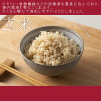 【令和７年度産】農姫米・玄米（30kg）