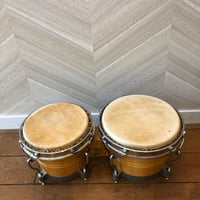 ホワイトウッド・ボンゴ　BG-209WR  Pearl【USED】