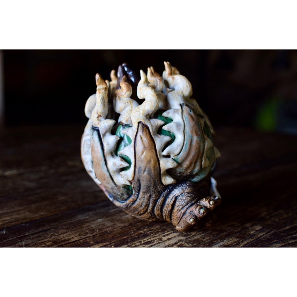 Willing plant 大眼 Yei Tao Cthulhu Agave Yei Tao 大眼 Cthulhu Agave utahensis | Willing plant