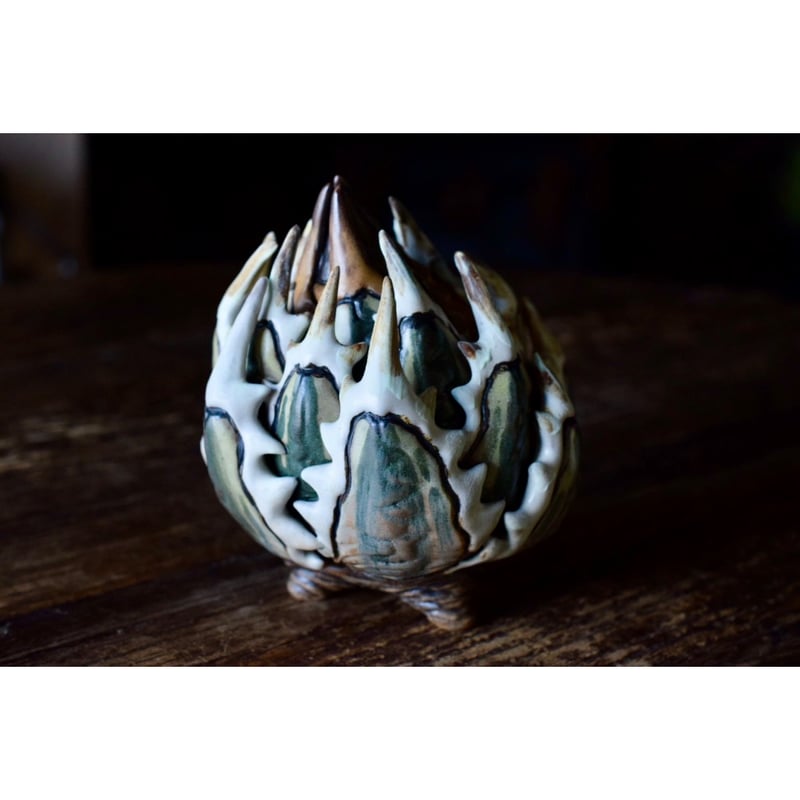 Yei Tao 大眼 Agave horrida 黎明 Hazel eyes | Willin