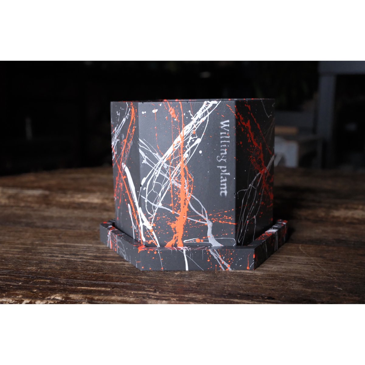 HEXAGON POT PYA!! | Willing plant