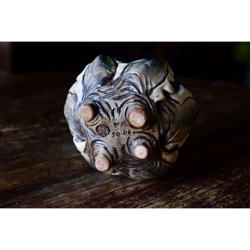 Yei Tao 大眼 Agave horrida 黎明 Hazel eyes | Willin