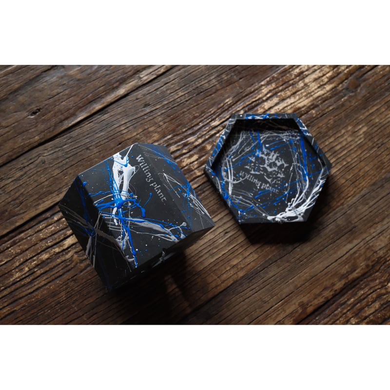 HEXAGON POT PYA!! | Willing plant