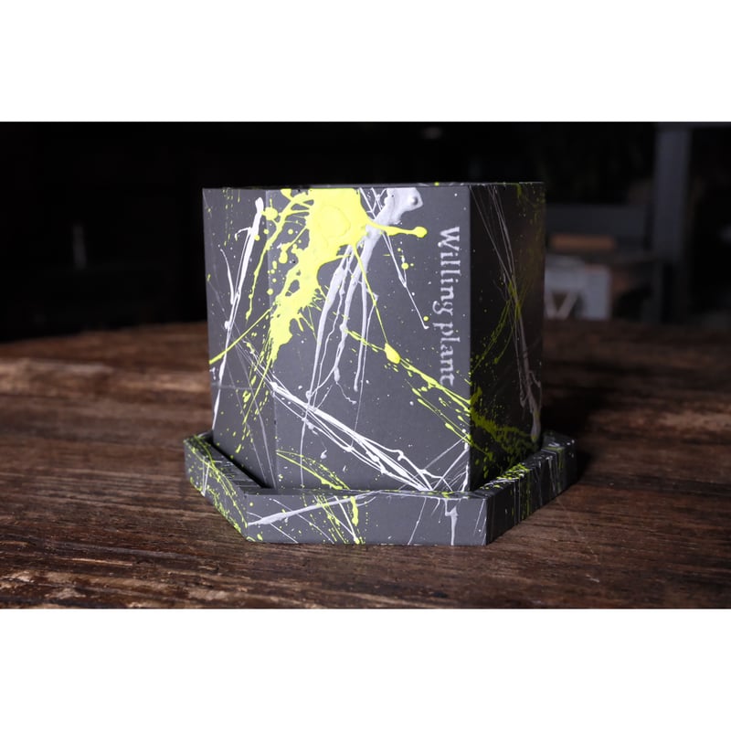 HEXAGON POT PYA!! | Willing plant