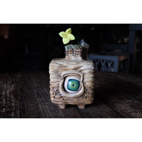 CATEGORY Goods | Willing plant