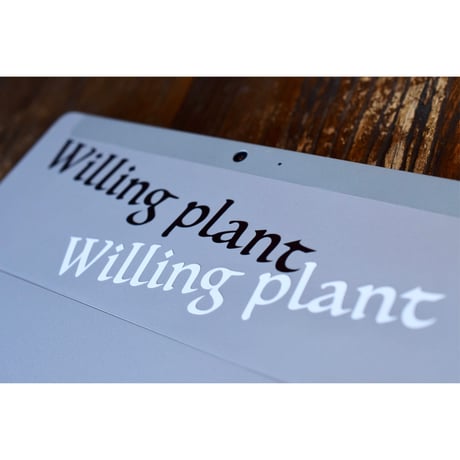 Willing plant