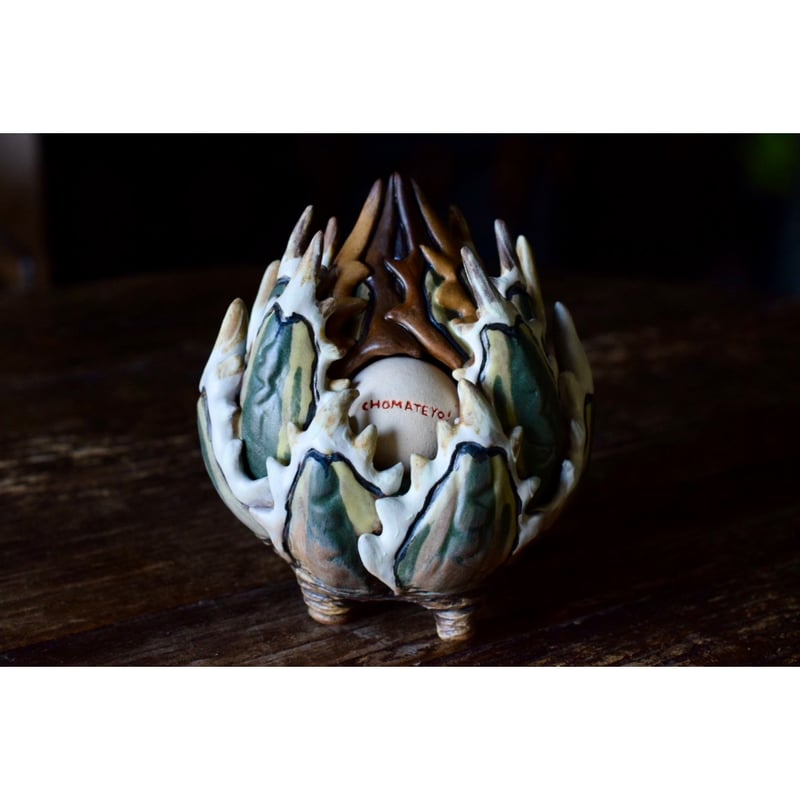 Yei Tao 大眼 Agave horrida 黎明 Hazel eyes | Willin