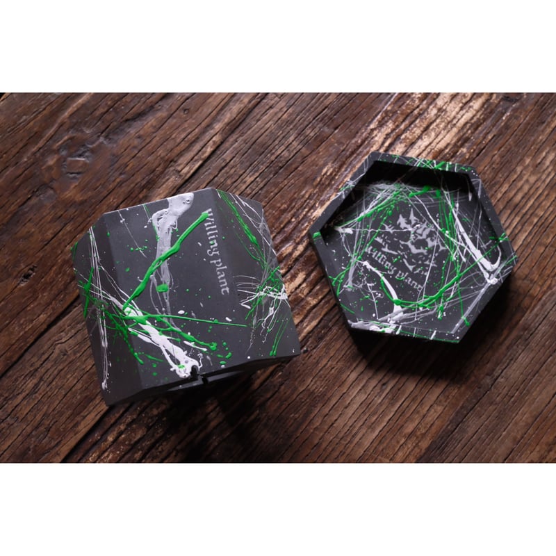 HEXAGON POT PYA!! | Willing plant