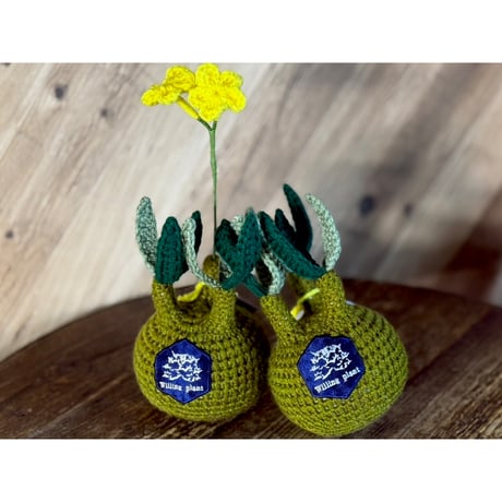 ITEM | Willing plant