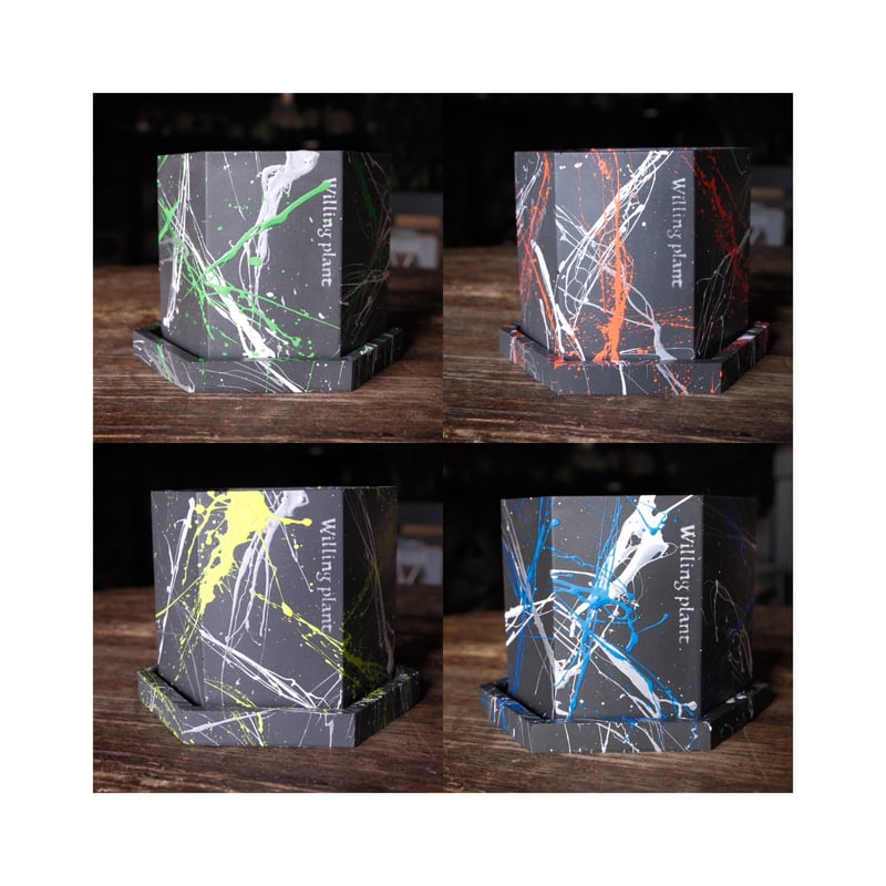 HEXAGON POT PYA!! | Willing plant