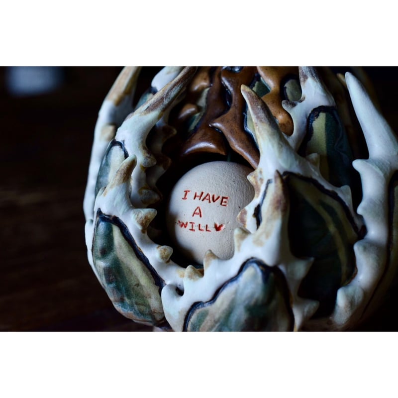 Yei Tao 大眼 Agave horrida 黎明 Hazel eyes | Willin