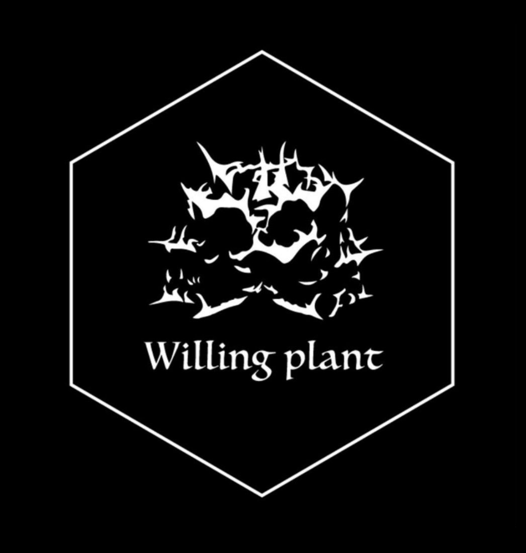 ITEM | Willing plant