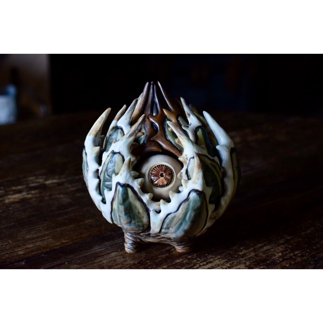 Yei Tao 大眼 Agave horrida 黎明 Hazel eyes | Willin