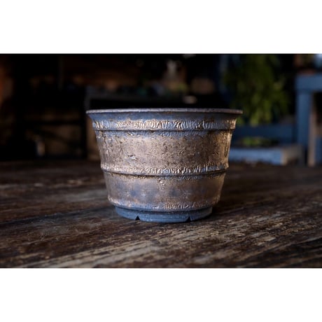 valiem willing plant別注S ITEM | Willing plant