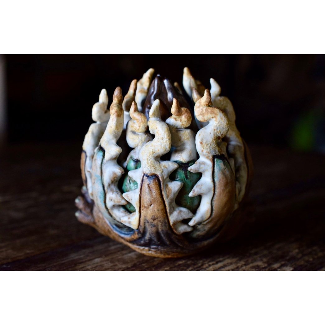 Yei Tao 大眼 Cthulhu Agave utahensis | Willing plant