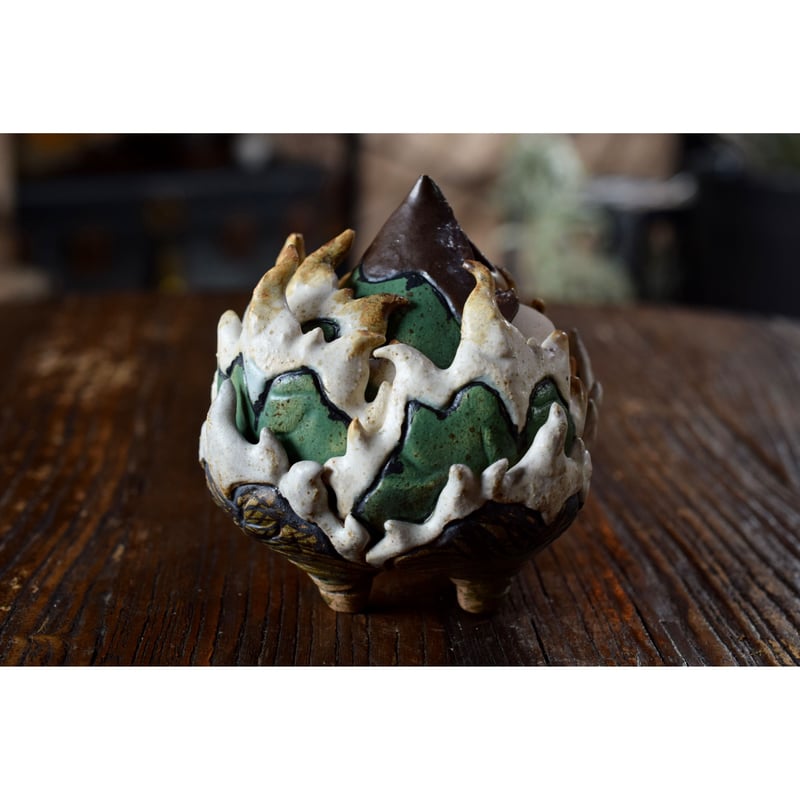 Yei Tao Agave Titanotaアガベチタノタ
