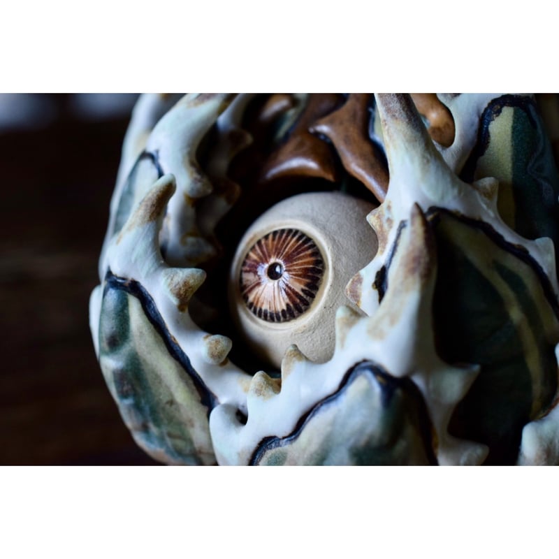 Willing plant 大眼 Yei Tao Cthulhu Agave Yei Tao 大眼 Agave horrida 黎明 Hazel eyes | Willin