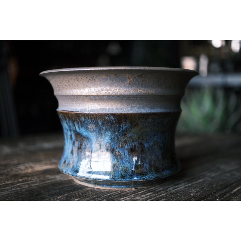 Apollo x Mercury' by Wildfire | Willing plant