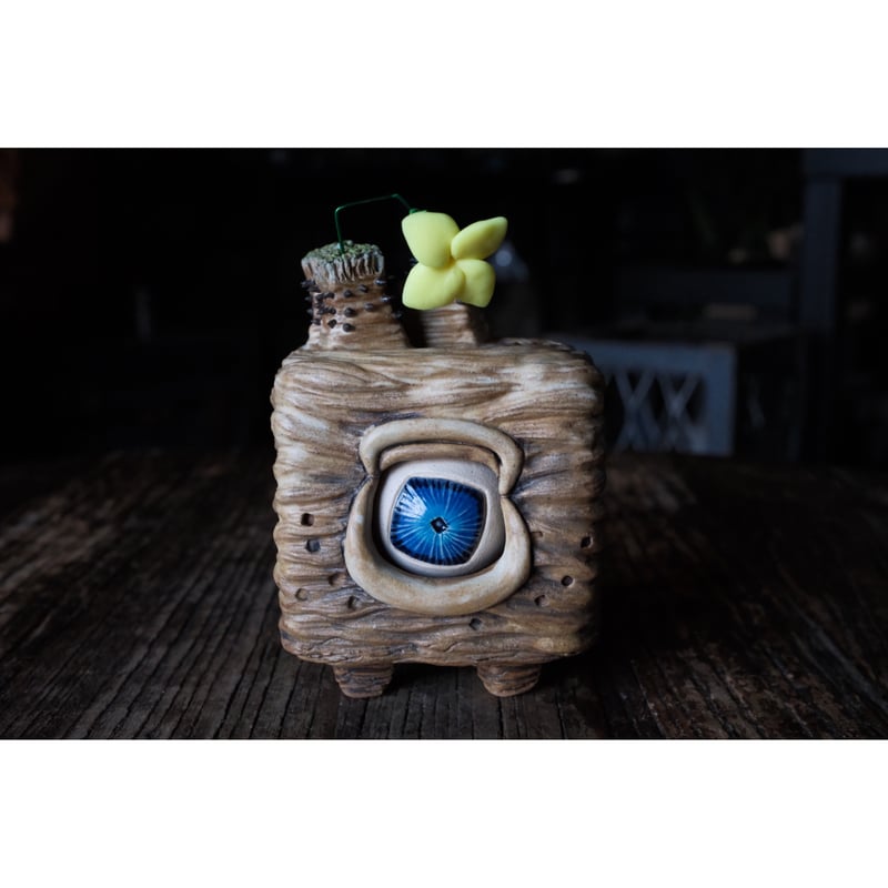 Yei Tao 大眼 塊塊 ロスラツム | Willing plant