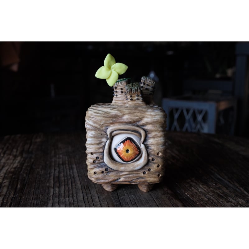 Yei Tao 大眼 塊塊 ロスラツム | Willing plant