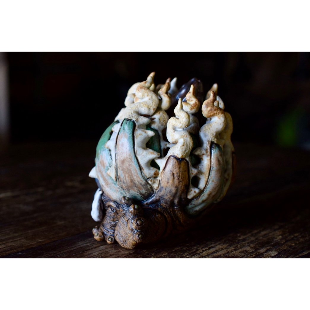 Willing plant 大眼 Yei Tao Cthulhu Agave Yei Tao 大眼 Cthulhu Agave utahensis | Willing plant