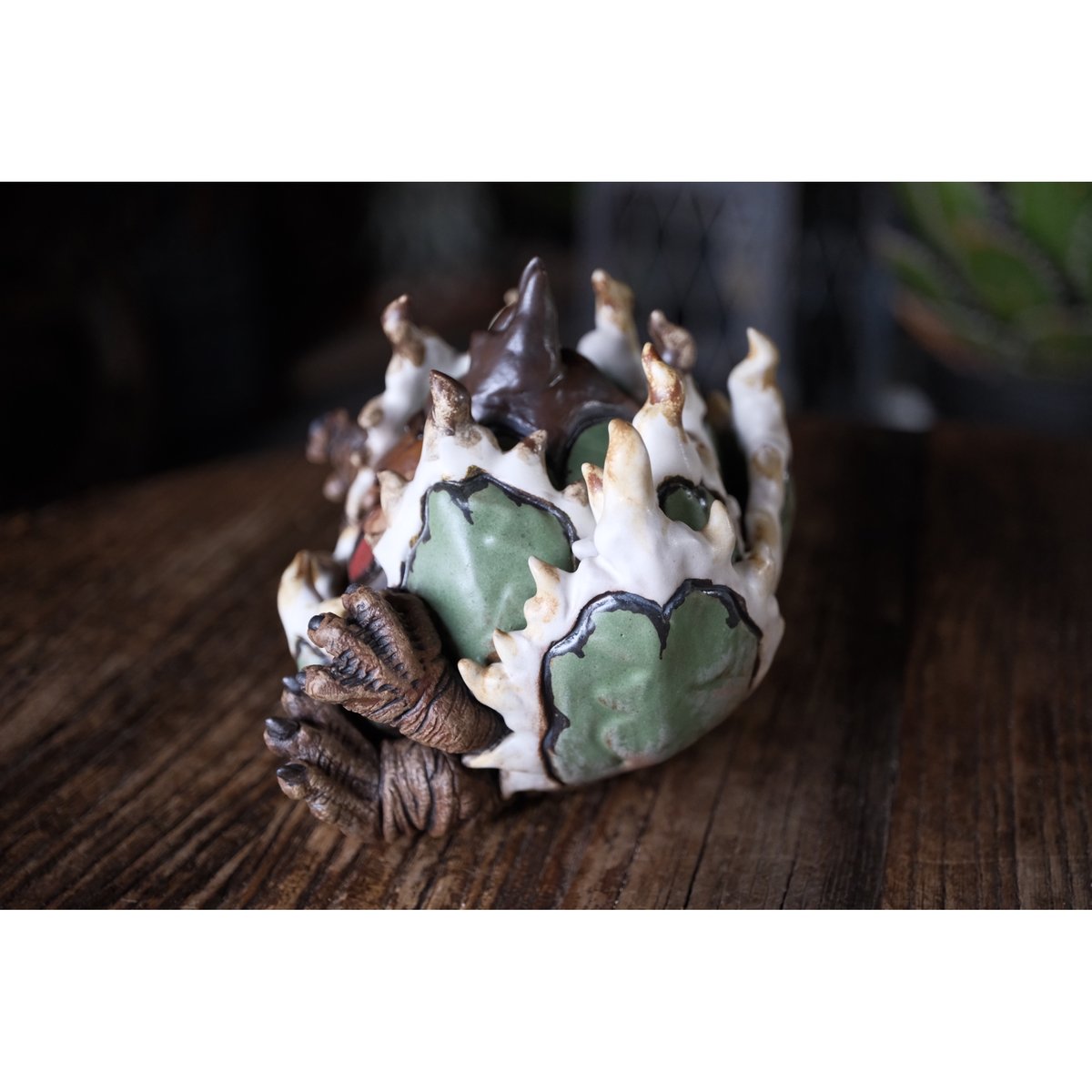 Willing plant 大眼 Yei Tao Cthulhu Agave Yei Tao 大眼 Cthulhu Agave utahensis | Willing plant