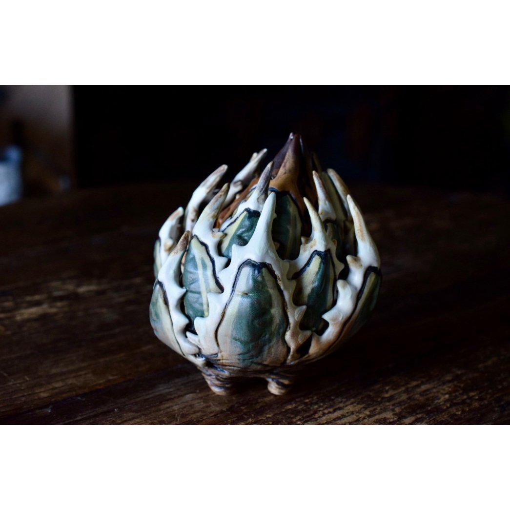 Yei Tao 大眼 Agave horrida 黎明 Hazel eyes | Willin