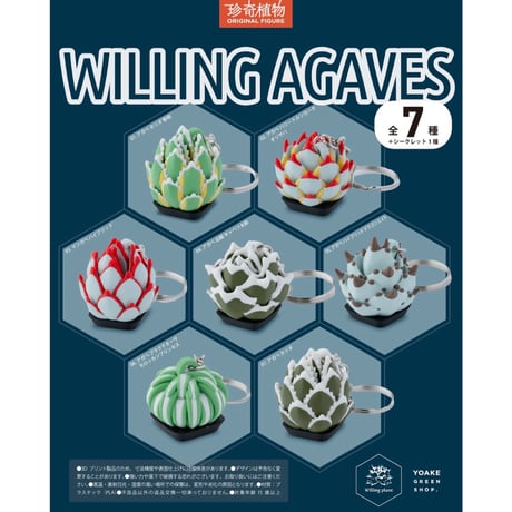 ウィリングプラント | STORES