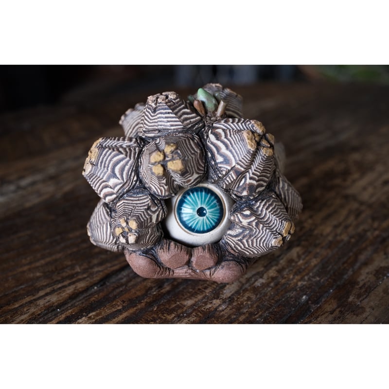 大眼 yei tao yeitao 亀甲竜 陶器 フィギュア 大眼 yei tao yeitao 亀甲竜 陶器 フィギュア Yei Tao 大眼 亀甲竜 |