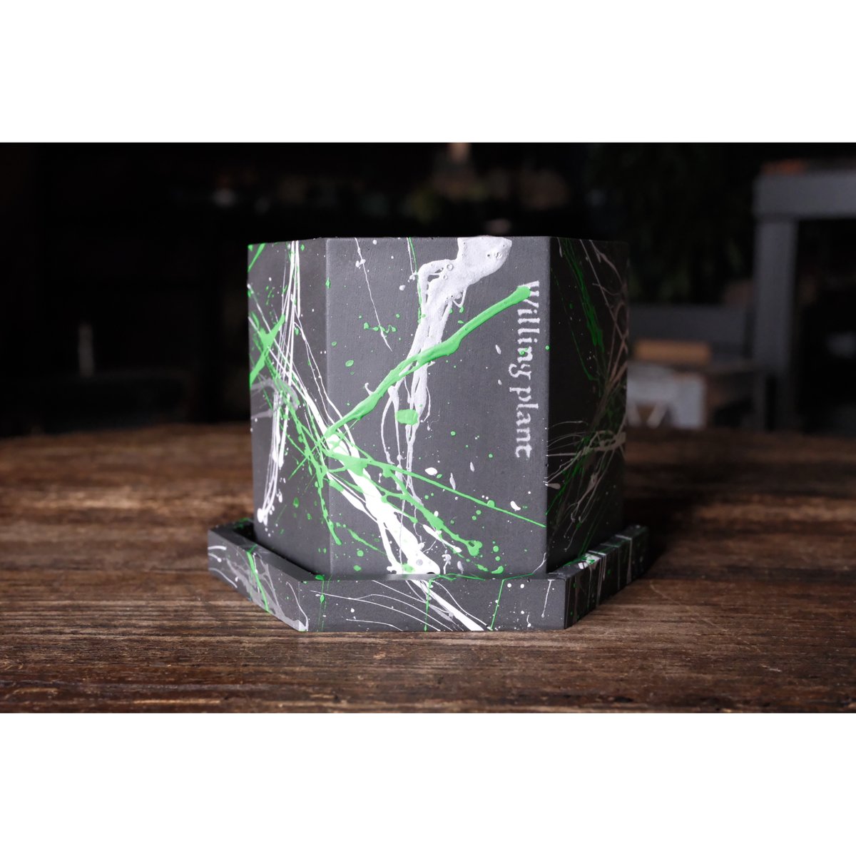 HEXAGON POT PYA!! | Willing plant