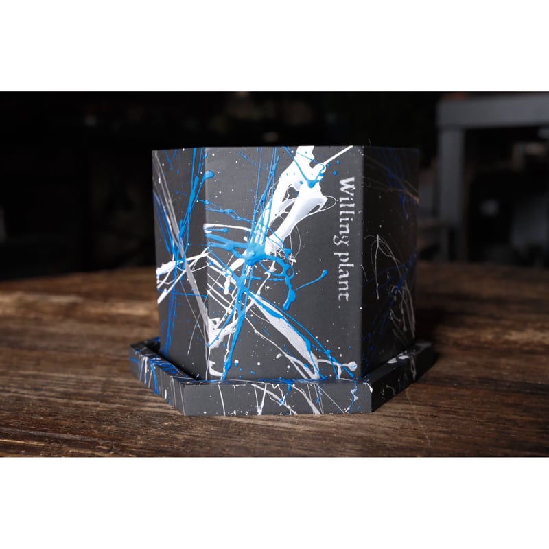 HEXAGON POT PYA!! | Willing plant