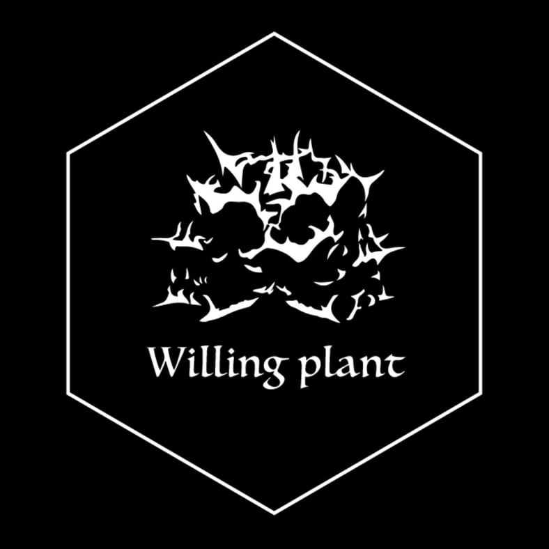 CATEGORY 陶器鉢 | Willing plant CATEGORY 陶器鉢 | Willing plant