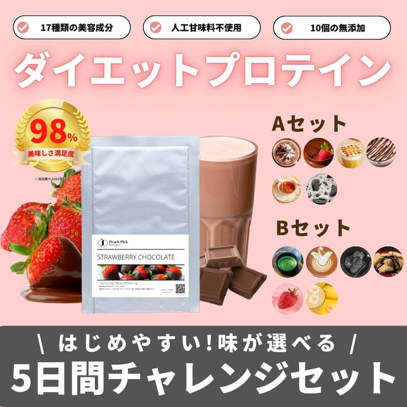 5日間ダイエットプロテイン10食スタートセット 【味が選べる2種類