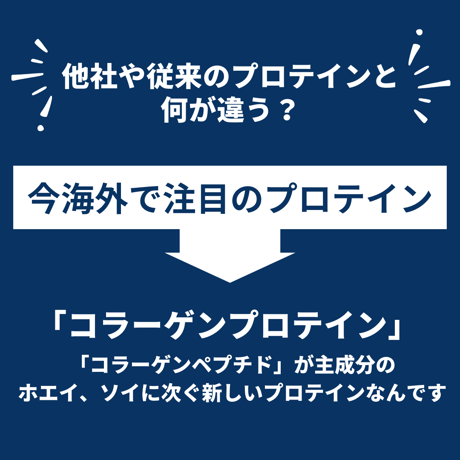 【在庫限り】【無糖】HOTで飲める！紅茶プロテイン 【約1ヶ月分】 210g※廃盤予定の商品です※
