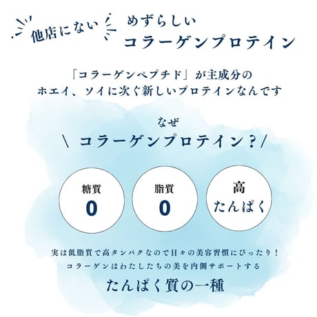 【公式サイト限定販売】選べるお試し個包装！ダイエット抹茶プロテイン