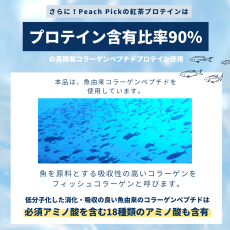 【在庫限り】【無糖】HOTで飲める！紅茶プロテイン 【約1ヶ月分】 210g※廃盤予定の商品です※