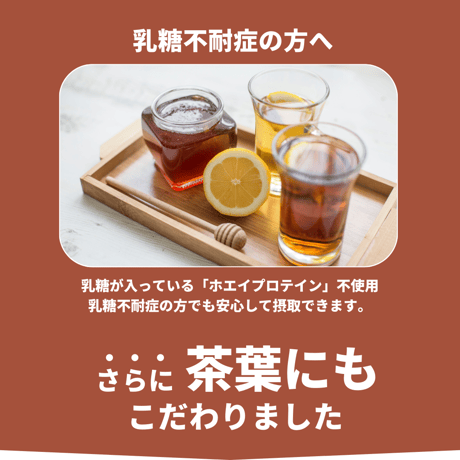 【在庫限り】【無糖】HOTで飲める！紅茶プロテイン 【約1ヶ月分】 210g※廃盤予定の商品です※