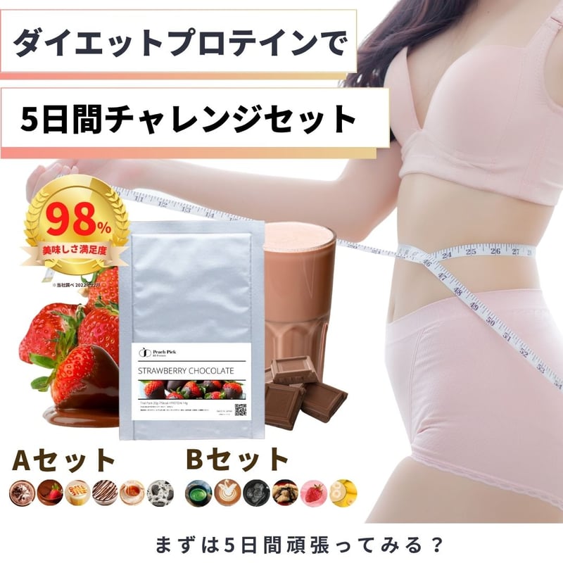 5日間ダイエットプロテイン10食スタートセット 【味が選べる2種類