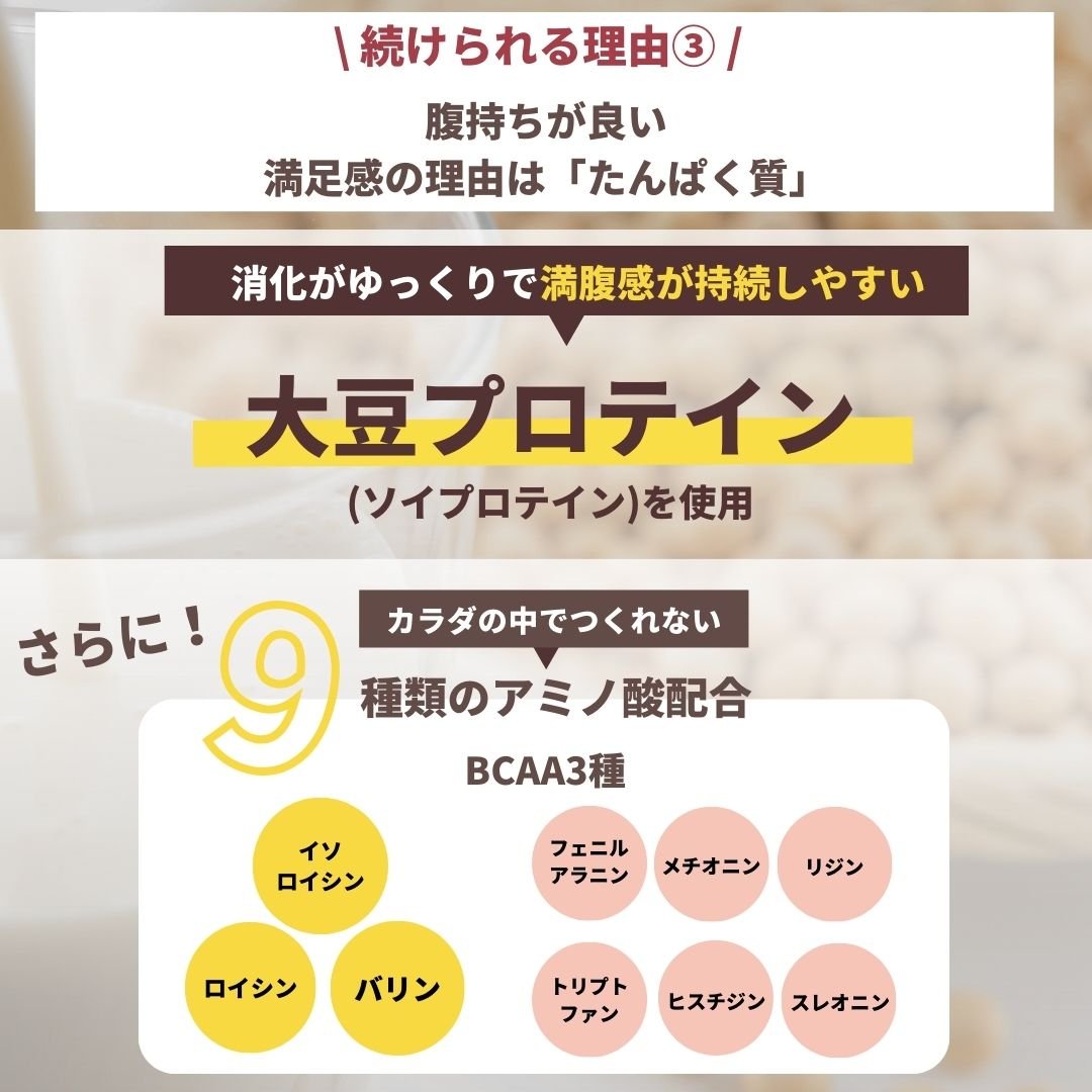 プロテイン様 フォロー割 専用出品 公式サイト限定販売】ダイエットスーププロテイン 個包装タイプ