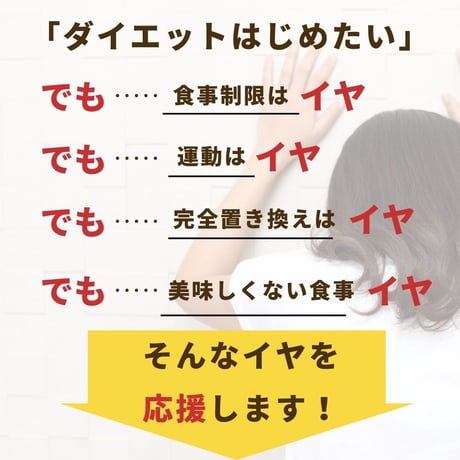 3日間ダイエットスーププロテイン6食スタートセット
