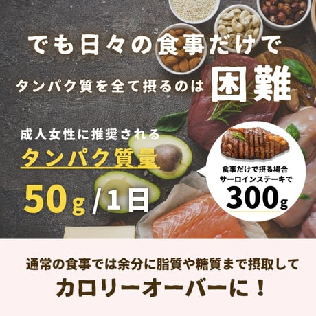 ５日間ダイエットプロテイン10食スタートセット 【味が選べる2種類】